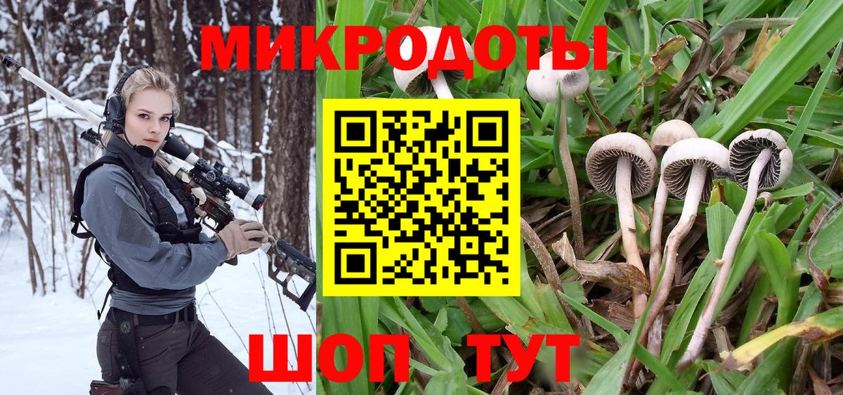 Воркута  Галлюциногенные грибы мицелий  Вход с VPN 